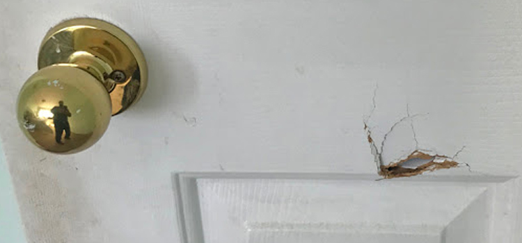 interior door hole repair South Monrovia Island