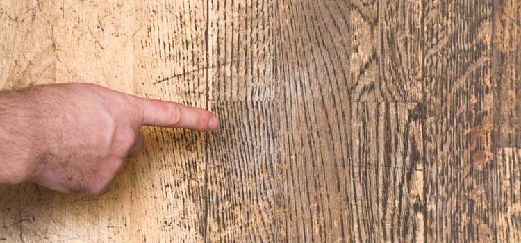 Wood Door Scratch Repair in South Monrovia Island